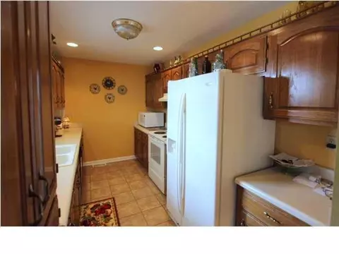 7204 Hydrus Dr, Harrison, TN 37341 photo 7