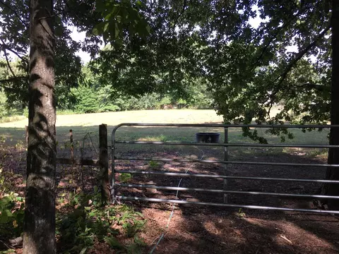 4010 Sajac Trl, Apison, TN 37302 photo 8