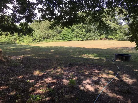4010 Sajac Trl, Apison, TN 37302 photo 9