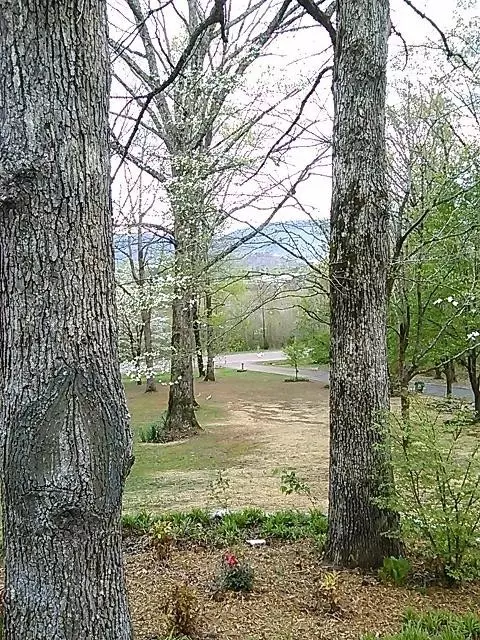 717 Tram Trl, Dunlap, TN 37327 photo 11