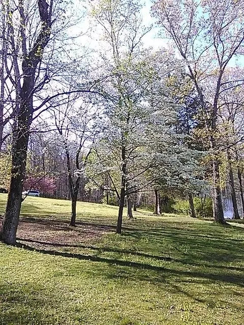 717 Tram Trl, Dunlap, TN 37327 photo 10