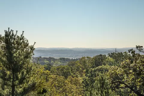 76 S Crest Rd, Chattanooga, TN 37404 photo 3