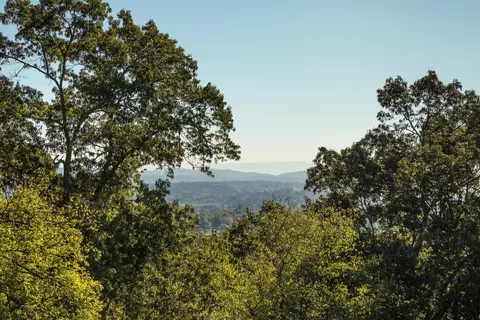 76 S Crest Rd, Chattanooga, TN 37404 photo 4