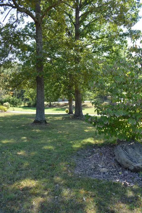 618 Random Ter, Ringgold, GA 30736 photo 77