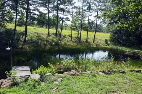 371 Deerhead Rd, Dunlap, TN 37327 photo 15
