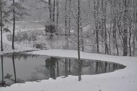 371 Deerhead Rd, Dunlap, TN 37327 photo 50