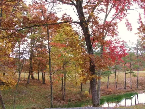 371 Deerhead Rd, Dunlap, TN 37327 photo 49