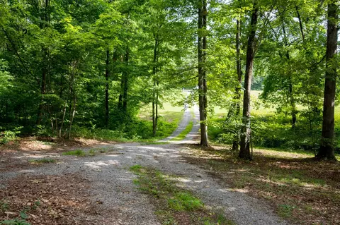 371 Deerhead Rd, Dunlap, TN 37327 photo 5