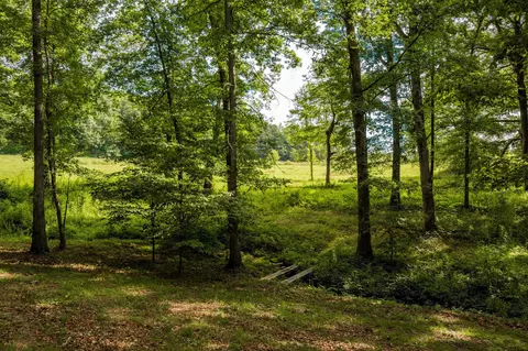 371 Deerhead Rd, Dunlap, TN 37327 photo 18