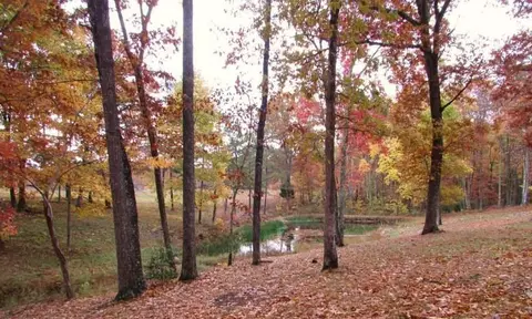 371 Deerhead Rd, Dunlap, TN 37327 photo 51