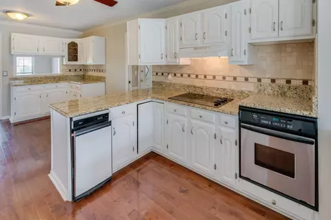 256 Grant Dr, Ringgold, GA 30736 photo 13