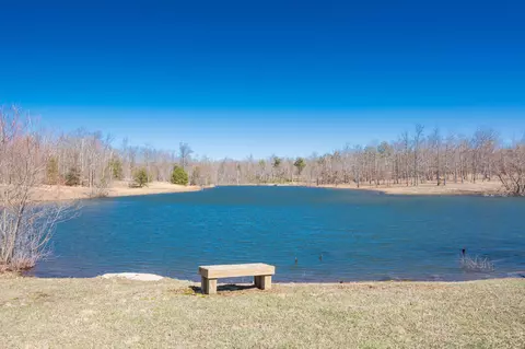 745 Greenfields Way, Dunlap, TN 37327 photo 43
