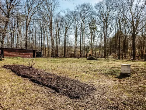 179 Dixon Rd, Ocoee, TN 37361 photo 67