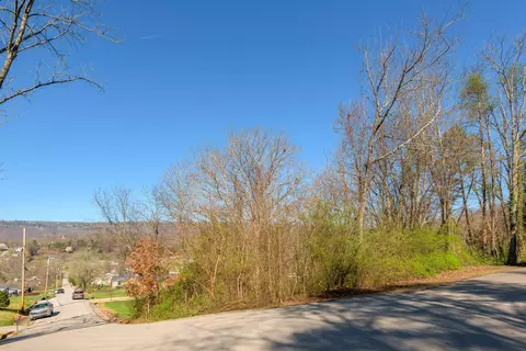 113 Ormand Dr, Chattanooga, TN 37415 photo 23