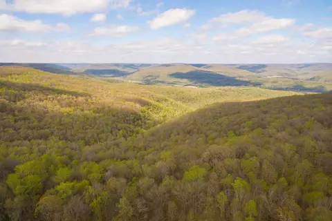 3035 Jackson Point Rd, Sewanee, TN 37375 photo 4