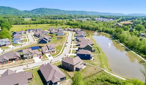 8319 River Birch Loop, Ooltewah, TN 37363 photo 43