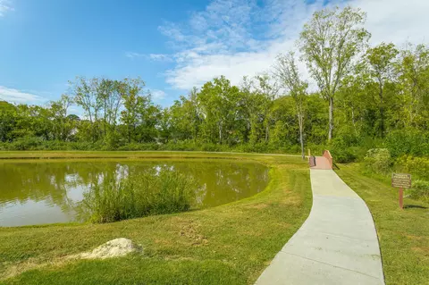 8232 River Birch Loop, Ooltewah, TN 37363 photo 48