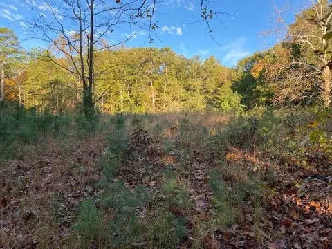 1688 E Teems Rd, Ringgold, GA 30736 photo 24