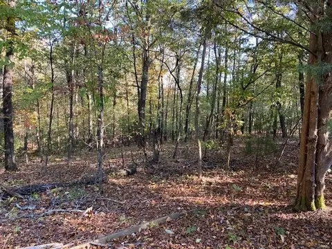 1688 E Teems Rd, Ringgold, GA 30736 photo 6