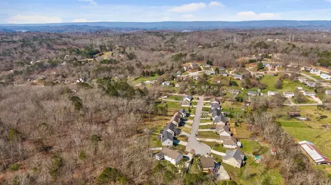 7098 Maple Leaf Ln, Harrison, TN 37341 photo 11