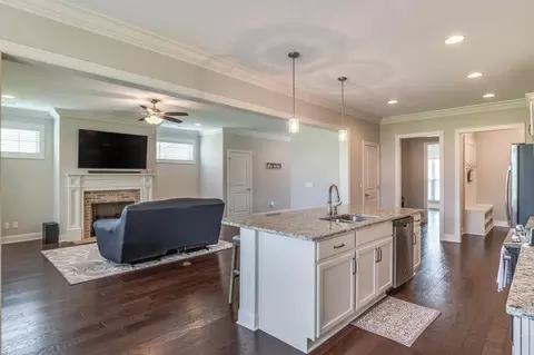 8294 River Birch Loop, Ooltewah, TN 37363 photo 14