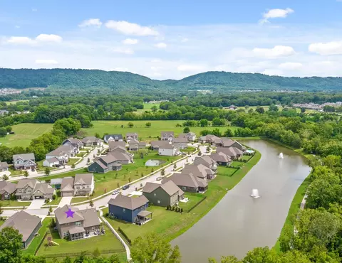 8299 River Birch Loop, Ooltewah, TN 37363 photo 4