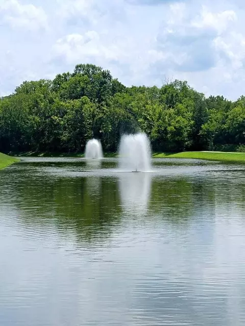 8299 River Birch Loop, Ooltewah, TN 37363 photo 8