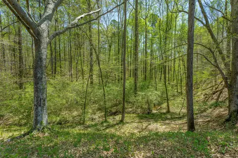 851 Hankins Rd, Rock Spring, GA 30739 photo 50