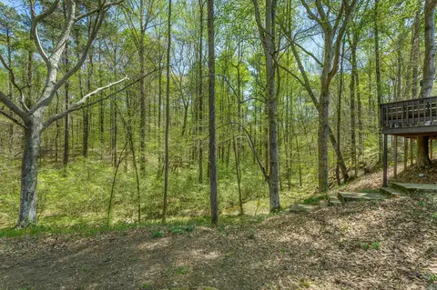 851 Hankins Rd, Rock Spring, GA 30739 photo 49