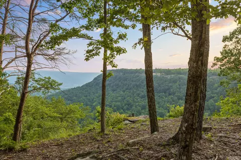 0 Pine Knot Pass, Jasper, TN 37347 photo 11