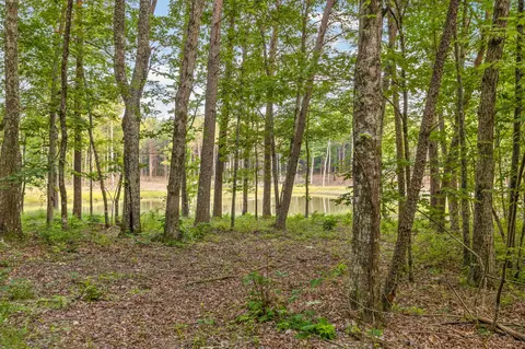 0 Pine Knot Pass, Jasper, TN 37347 photo 19