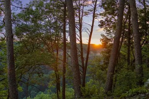 0 Pine Knot Pass, Jasper, TN 37347 photo 8