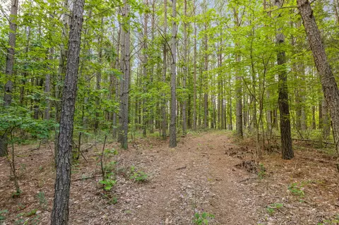 0 Pine Knot Pass, Jasper, TN 37347 photo 18