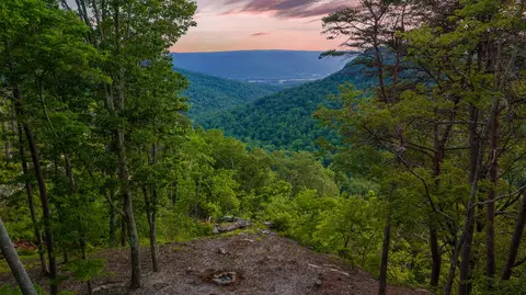0 Pine Knot Pass, Jasper, TN 37347 photo 4