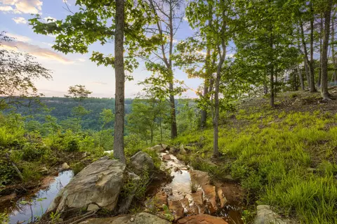 0 Pine Knot Pass, Jasper, TN 37347 photo 10