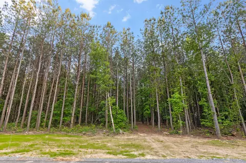 0 Pine Knot Pass, Jasper, TN 37347 photo 21