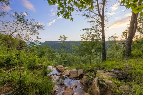 0 Pine Knot Pass, Jasper, TN 37347 photo 9