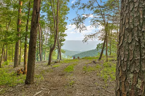 0 Pine Knot Pass, Jasper, TN 37347 photo 16