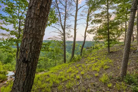 0 Pine Knot Pass, Jasper, TN 37347 photo 12