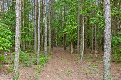 0 Pine Knot Pass, Jasper, TN 37347 photo 20