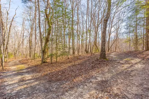 1655 Mccarver Loop Rd, Dunlap, TN 37327 photo 41