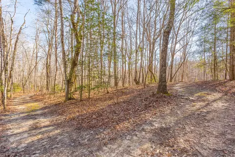 1655 Mccarver Loop Rd, Dunlap, TN 37327 photo 41
