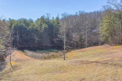 1655 Mccarver Loop Rd, Dunlap, TN 37327 photo 3