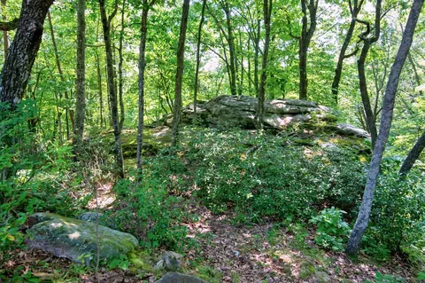 320 Deer Point Dr, Dunlap, TN 37327 photo 57