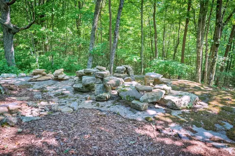 320 Deer Point Dr, Dunlap, TN 37327 photo 58