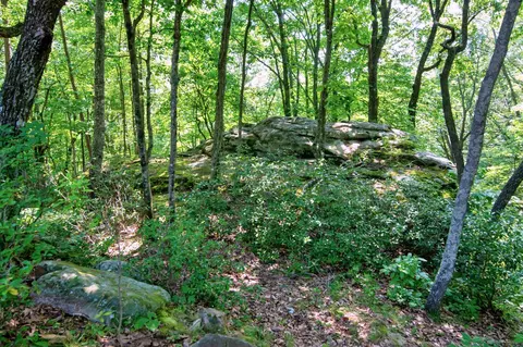 320 Deer Point Dr, Dunlap, TN 37327 photo 57