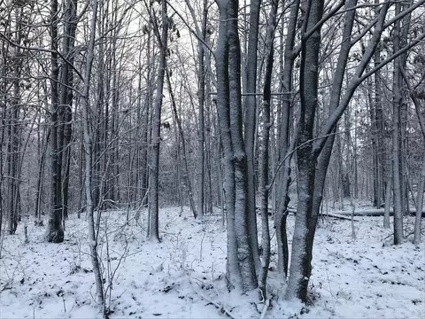 54 Tranquil Trl, Dunlap, TN 37327 photo 65