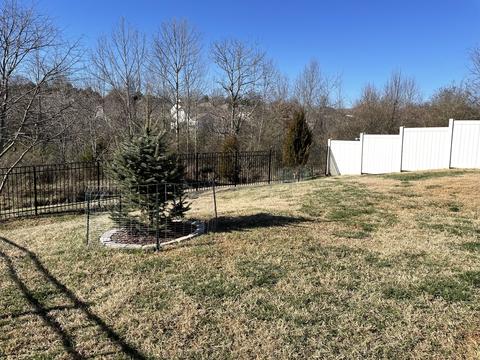 339 Golfview Ln, Springfield, TN 37172 photo 8