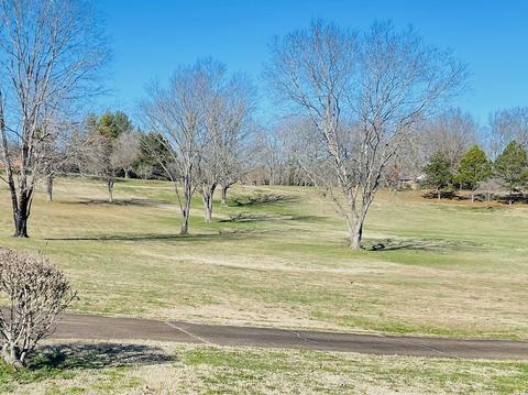 2069 Dade Cir, Dickson, TN 37055 photo 5