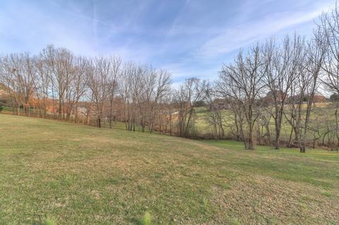 3107 Burts Xing, Springfield, TN 37172 photo 30